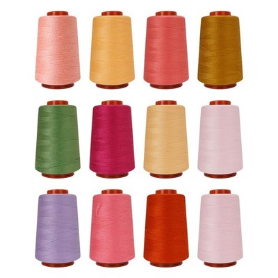 12PCS Sewing Thread Kit 30wt Spools,12 Colors,Assorted Colors Each 800 Yards ...