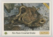 1991 Acorn Biosphere Promo Set Rim Rock Crowned Snake #15 1b9b