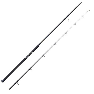 TENRYU Spinnrute POWER MASTER PM9102S-XX