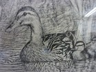 VNTG 1980 BICKNELL MAMA DUCK & 4 DUCKLINGS IN POND PRINT NUMBERED 75/200 — photo 4