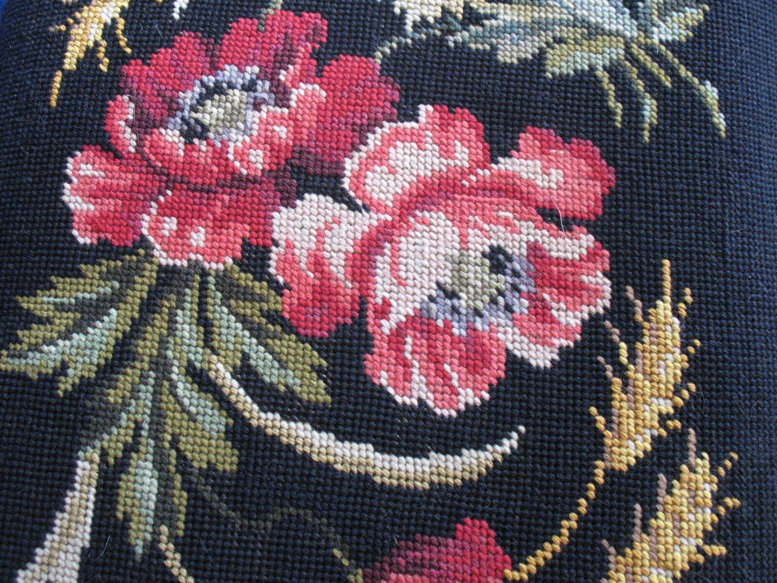 Picture 11 of 19