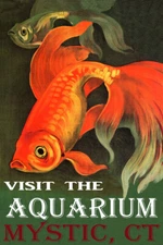Mystic CT Fish Visit The Aquarium Goldfish Travel Vintage Poster Repro FREE S/H