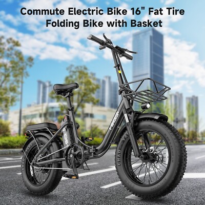 Hikeep 16'' Electric Bike 500W E-Folding Bike 48V 13Ah Bicycle ebikes for Adults
