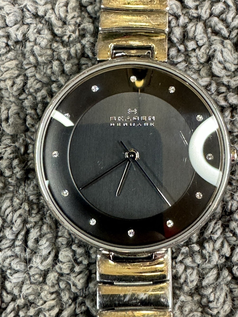 Skagen Women display picture 2