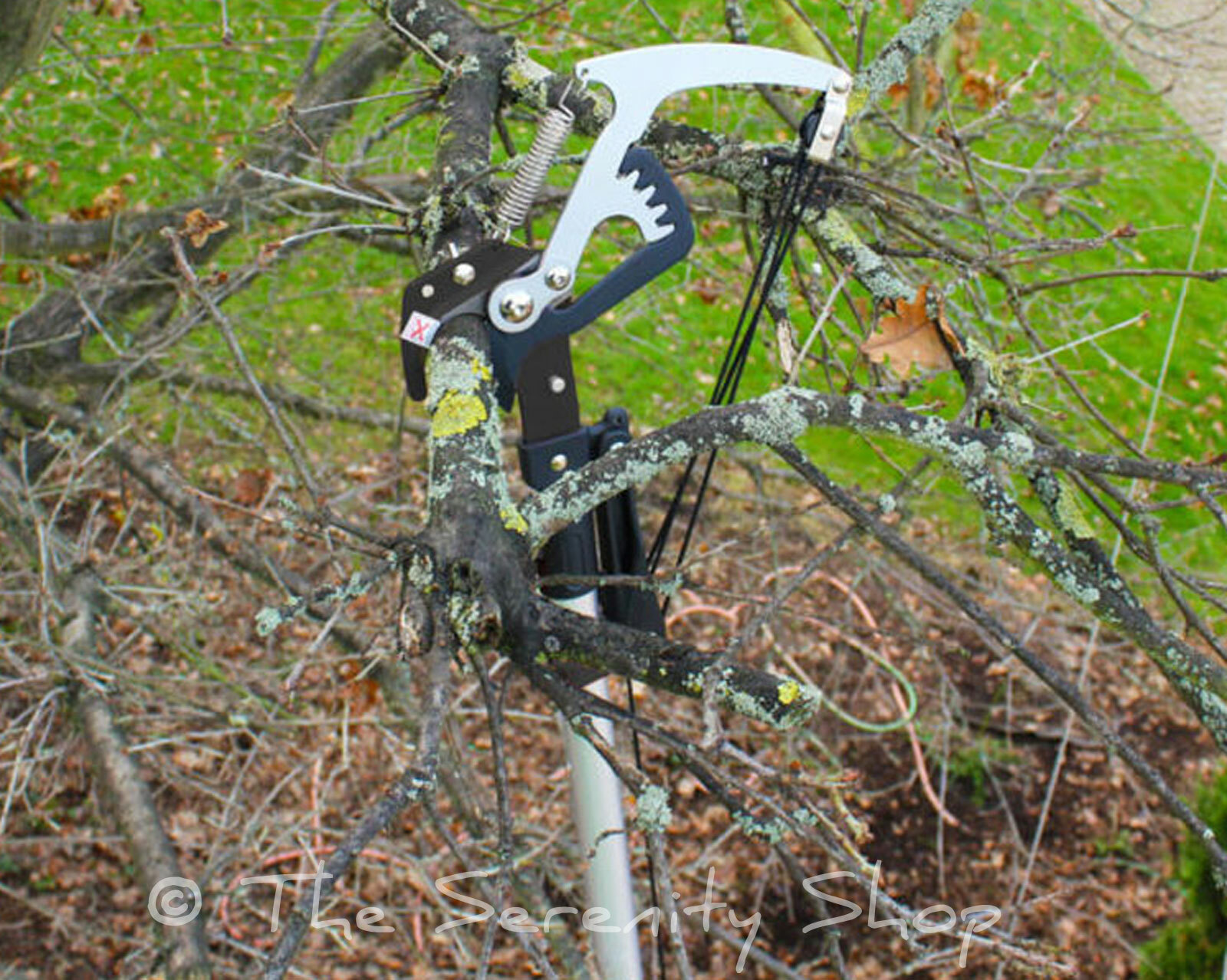 DARLAC EXPERT GEARED BYPASS TREE PRUNING / PRUNER HEAD HEAVY DUTY