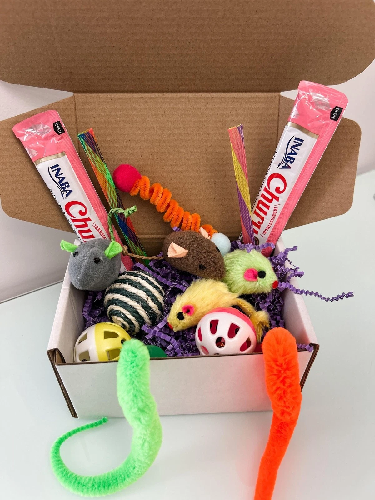 Cat Toy Gift Box with Treats – Enrichment Set for Indoor Cats & Kittens Easter
Opens in a new window