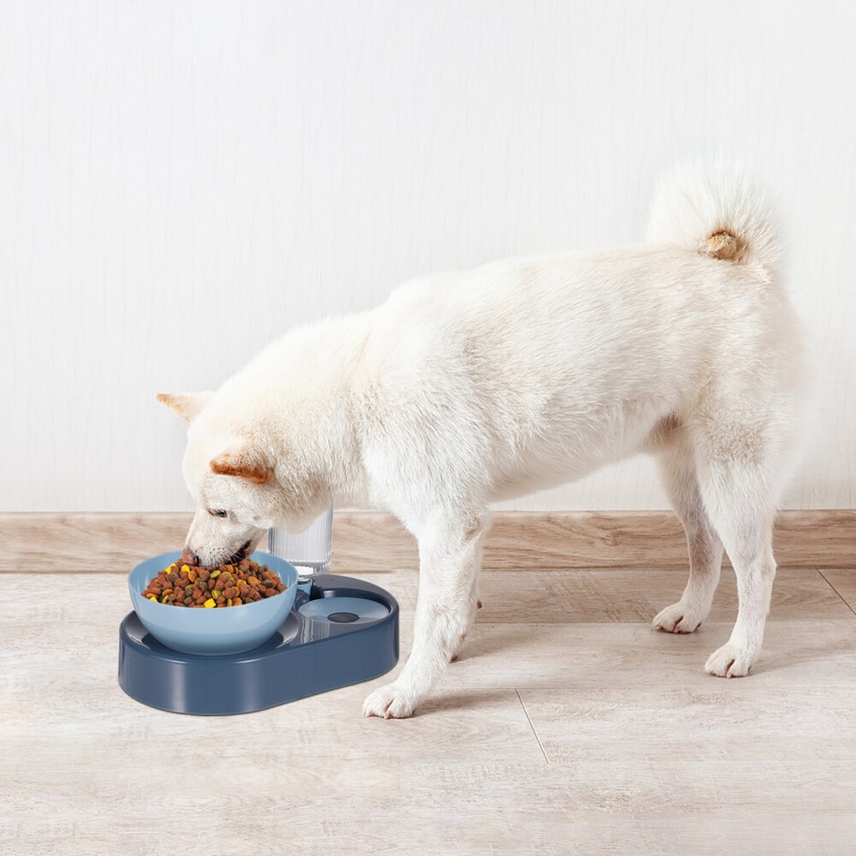 Pet Slow Food Dispenser Raised Cat Food Bowl Pet Slow Feeder Raised Dog