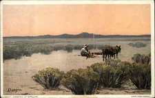 Man in Desert Fire Donkeys Arizona Afterglow 79007 Detroit Pub c1910 Postcard