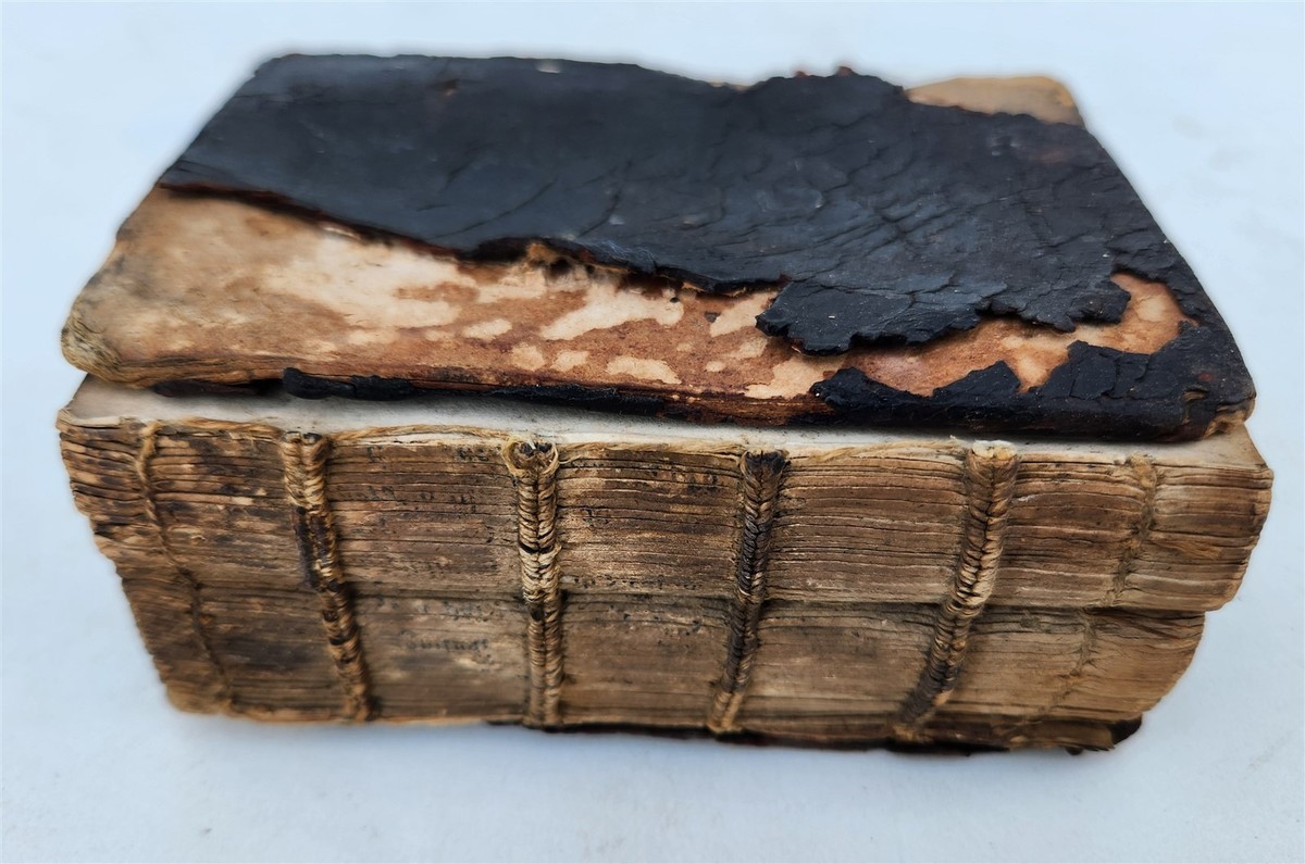 16th century BIBLE in LATIN ILLUSTRATED antique pocket size NEW