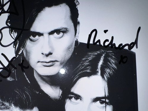 Suede signed 8 X 10 Black and White Photo Anderson, Oakes, Gilbert and Osman - Picture 2 of 4