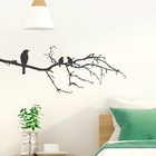  Wandtattoo 3 Vögel auf Ast, Baum, Vogel, Wandsticker, Wandaufkleber, Wanddeko