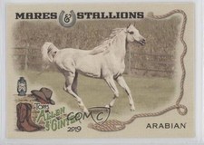 2019 Topps Allen & Ginter Mares and Stallions Arabian Horse #MS-1 uy6