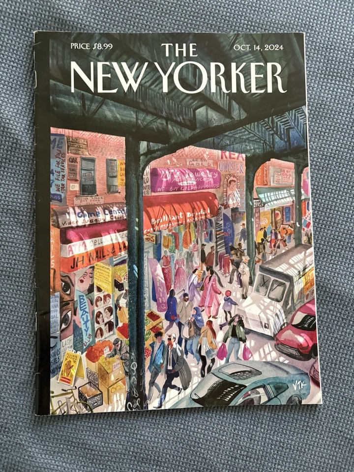 the-new-yorker-magazines-lot-of-9-2024-free-shipping-ebay
