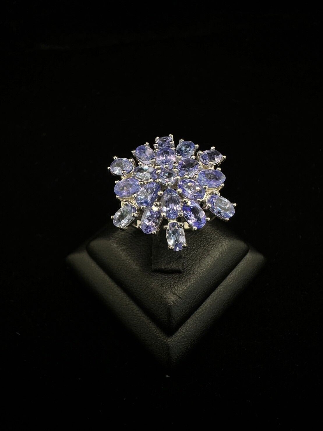 Picture 4 of 5