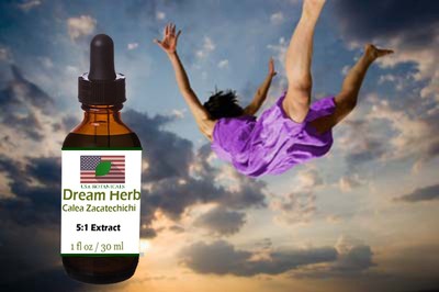 1 Oz Mexican Dream Tinktur Extrakt (Calea Zacatechichi) ~ Lucid Dreaming 1 Oz