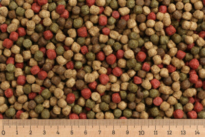 (Grundpreis 3,06  /kg) - 15 kg Premium Koifutter Japan - Mix  6,0 mm  schwimmend
