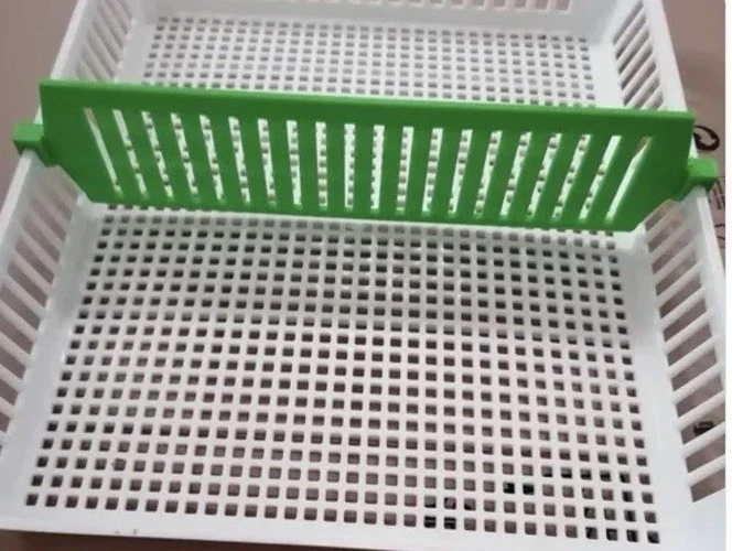 Cimuka Hatching Time Incubator Basket Divider Separator Ct
