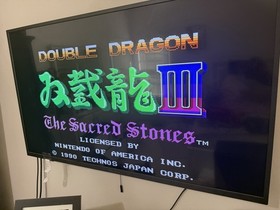 Double Dragon III: The Sacred Stones (Nintendo Entertainment System, 1991)