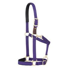 35-6075-PU Weaver Leather Padded Breakaway Adjustable Snap Halter - Solid Purple