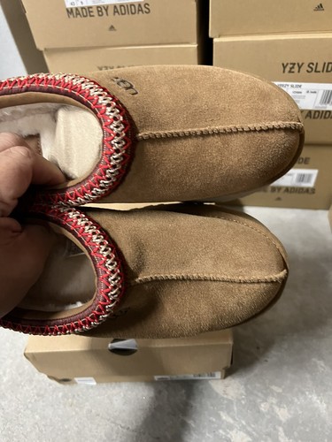 chestnut tazz mule