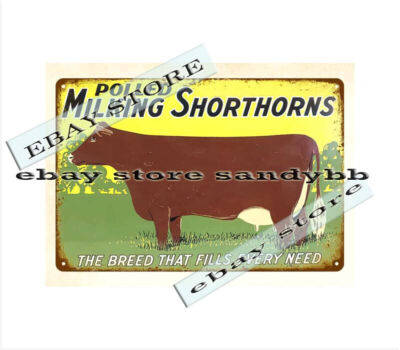 Milking Polled Shorthorns Dairy Cattle Livestocks metal tin sign  wall decal