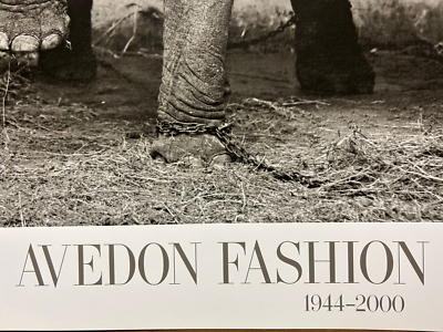 Dovima with Elephants, Evening Dress by Dior 1955 Richard Avedon Art Print  23x30 | eBay