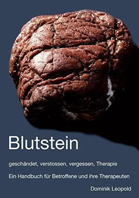 Blutstein - geschändet, verstossen, vergessen, Buch BoD   Books on Demand