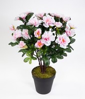 Azalee 34Cm Pink-Weiß Im Topf La KüNstliche Blumen Kunstpflanzen Kunstblumen