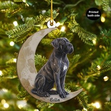 Personalized Cane Corso Dog on Moon Ash Plywood Ornament Flat 2D Cutout