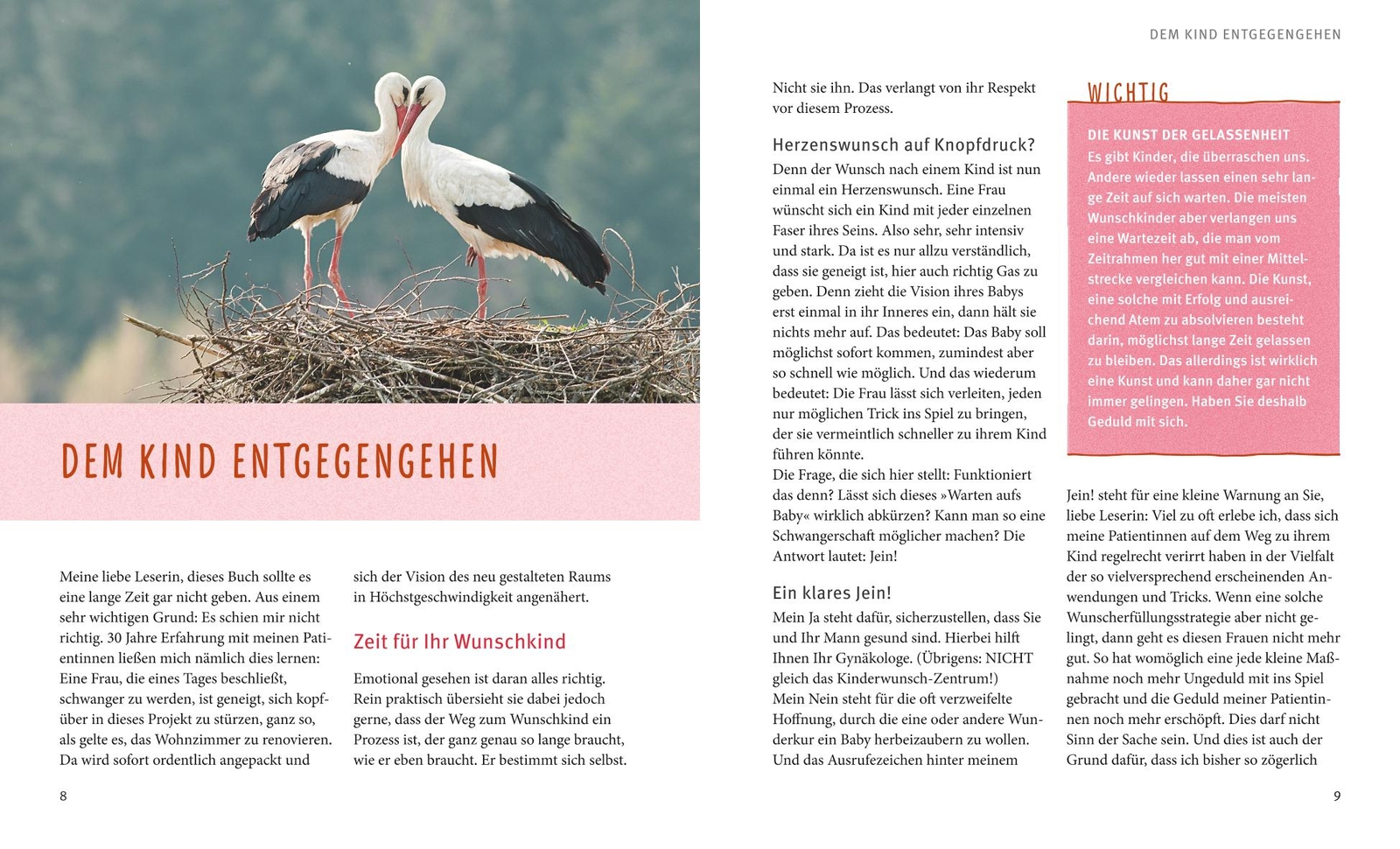 Thumbnail - Kinderwunsch, Birgit Zart