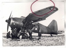 PHOTO PHOTO PLANE LYSANDER MK II