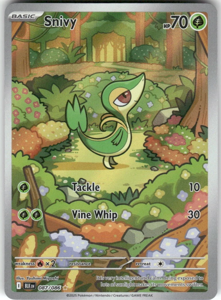 shiny snivy pokemon card Black & White Tin Snivy | Black Bolt |