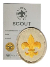 SCOUTS BSA SCOUT RANK AWARD PATCH & CARD CURRENT LIGHT-TAN MINT SINCE 1910