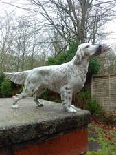 VINTAGE BESWICK HUGE ENGLISH SETTER DOG(MODEL NO. 1220)-MINT CONDITION (EX.RARE)