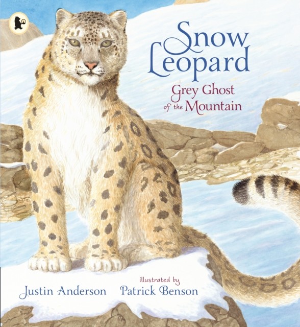 Snow Leopard: Grey Ghost of the Mountain by Justin Anderson (Paperback Book)