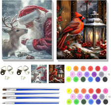 2 Pack Christmas Paint by Numbers Kit for Adults with Framed,Santa Claus Deer Ca