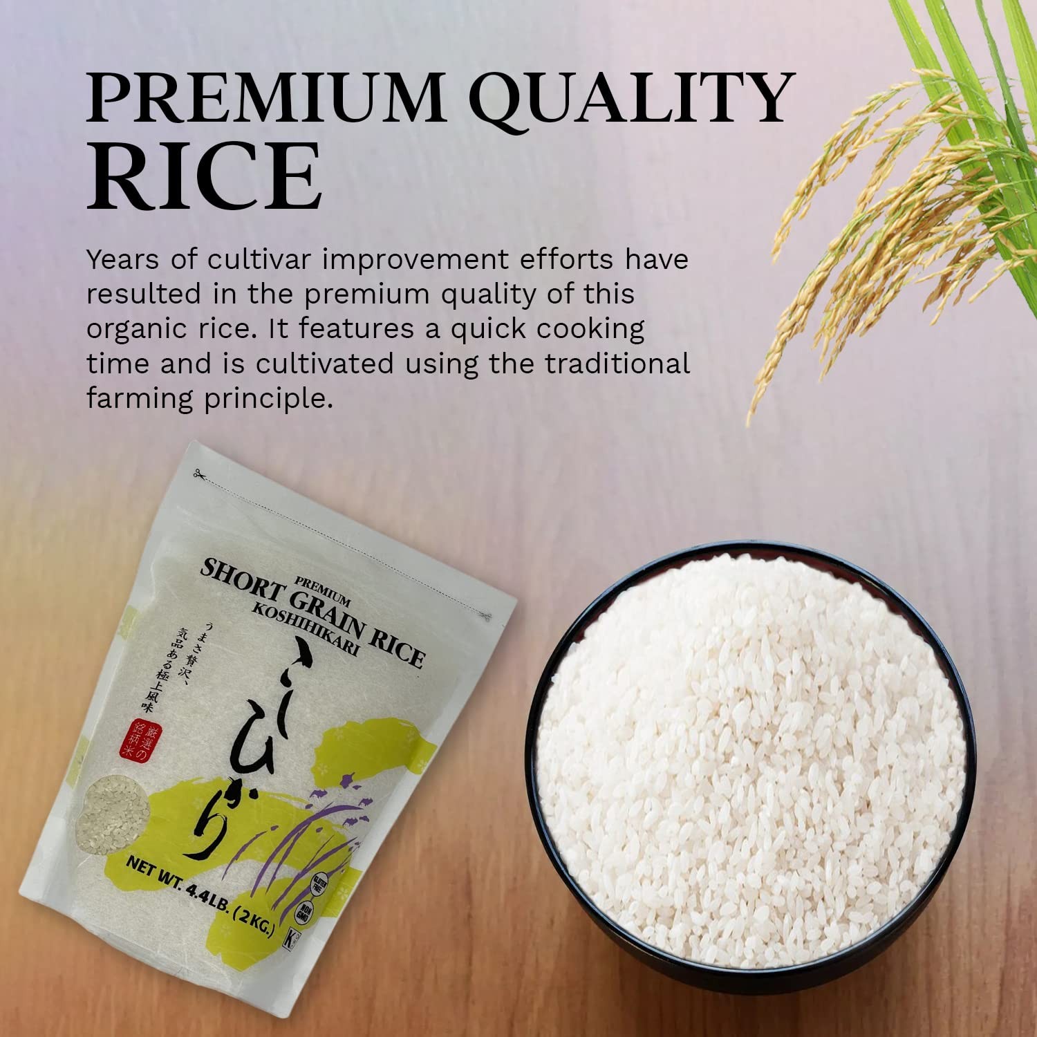 Shirakiku Japanese Short Grain White Koshihikari Rice 4.4 lb Premium Sushi Grade