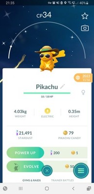  Shiny (Dazzling) Pikachu Summer Flair Pokemon GO  Registered Only