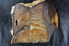 Deschutes Picture Jasper Slab - 223 Grams - Lapidary - Crafts - Display ! — photo 9
