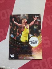 2025 Topps WWE Universe Mr. Perfect #279 Galaxy Parallel Summerslam Variant