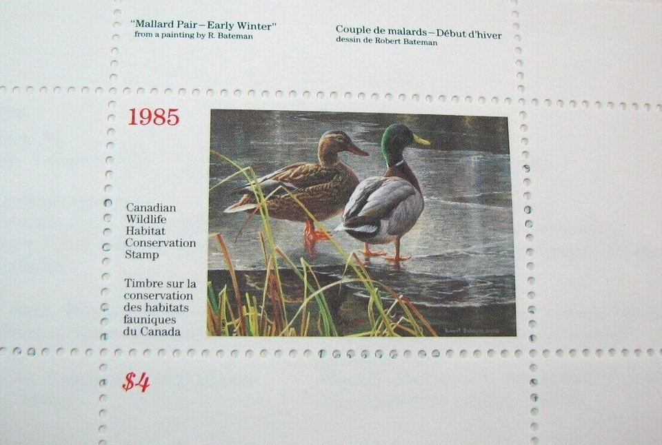 Sello de Canadá vida silvestre hábitat conservación patos mallardos 1985 MNH L511 Foto 2 de 2