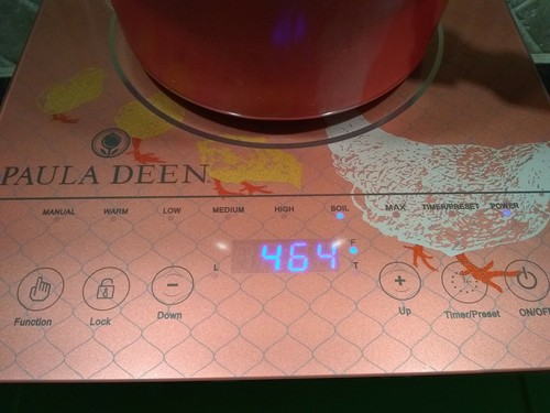NEW Paula Deen 1500W LED Colored Glass Programmable Induction Cooker Hen Chicks - Picture 11 of 12