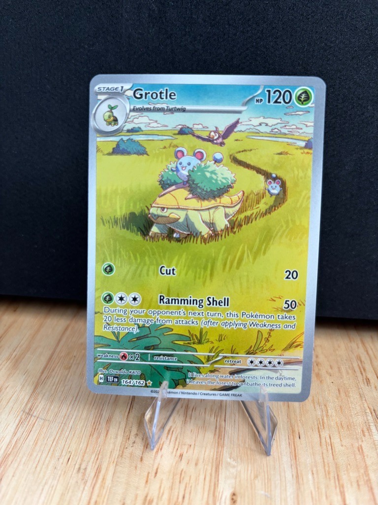 Pokemon - Grotle 164/162 Illustration Rare - temporal forces