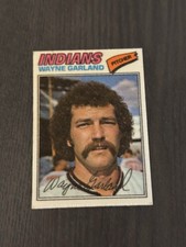 1977 Topps Baseball Patches Cloth Stickers (One Star Back) 17 WAYNE GARLAND Read
