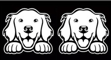 Golden Retriever Peeking Two White Vinyl Decals Car Truck Windows Laptop Tablet