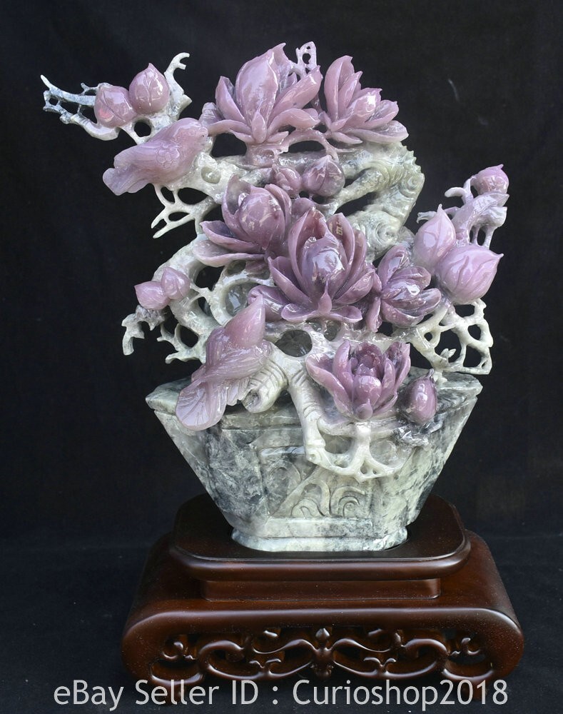 Puple jade dragon 接木苗 Puple jade dragon 接木苗 Plumeria rubra PURPLE JADE DRAGON
