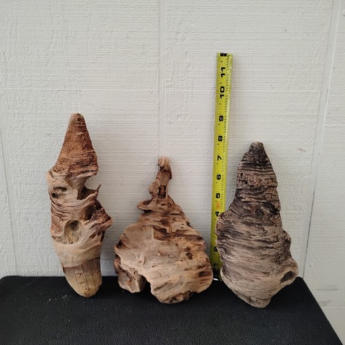 3 Small Pine Knots For Wood Carving