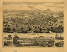 18" x 24" 1876 Map Birds eye map of Healdsburg, California Birds eye view.