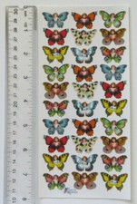 Violette Collection - BUTTERFLY BABES - Sheet of Butterfly Stickers P69