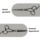 Bild 10 von 21